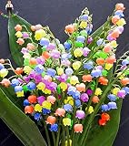100pcs lirio de las semillas de flor del valle interior raras semillas de orquídeas Campana rico aroma Bonsai Flores de semillas Plantas linda y hermosa