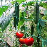 Mododo 2m x 5m Malla Plantas de Vid,Multiusos Malla,Tomates y Plantas trepadora,Red de Enrejado Jardín,Valla de Cultivo,Malla Vegetal para Frijol de Guisante,Red para Pájaros,Poliéster Red de Jardin