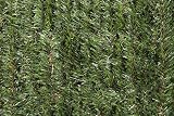 IBEROGARDEN SETO Artificial Tricolor 1.5 X 3 Metros (126 Varillas)
