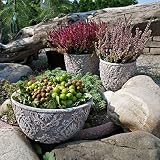 Plantas Maceta de cemento Jardinera para suculentas Macetas grandes de piedra resistentes a las heladas 19x10cm