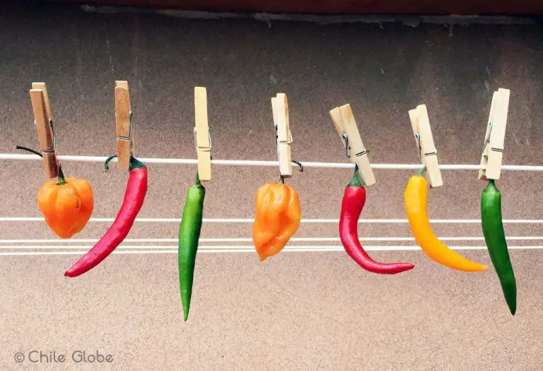 Almacenamiento de Cacahuetes: Aprenda acerca de la curación del maní