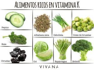 Elección de verduras con alto contenido de vitamina K: ¿Qué verduras tienen alto contenido de vitamina K?