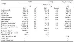 Plántulas de maíz con tizón: Causas de la plaga de la semilla en el