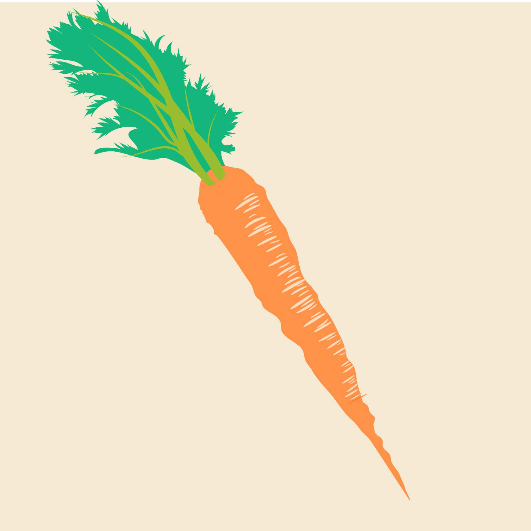 Mis zanahorias no se desarrollan: Solución de problemas de crecimiento de las zanahorias