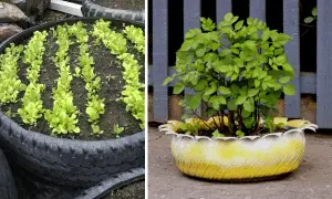 Plantación de Jardín de Neumáticos: ¿Son las llantas buenas jardineras para comestibles?