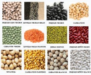 Plantas de legumbres populares: ¿Cuáles son los diferentes tipos de legumbres?