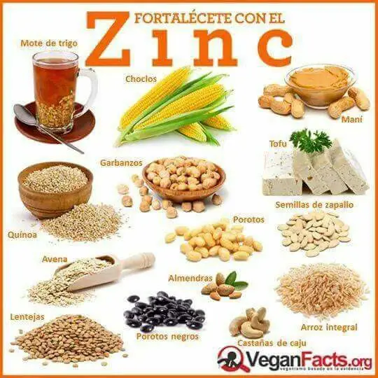 Vegetales ricos en zinc Aprenda acerca
