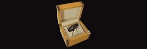 Caja de escarabajos