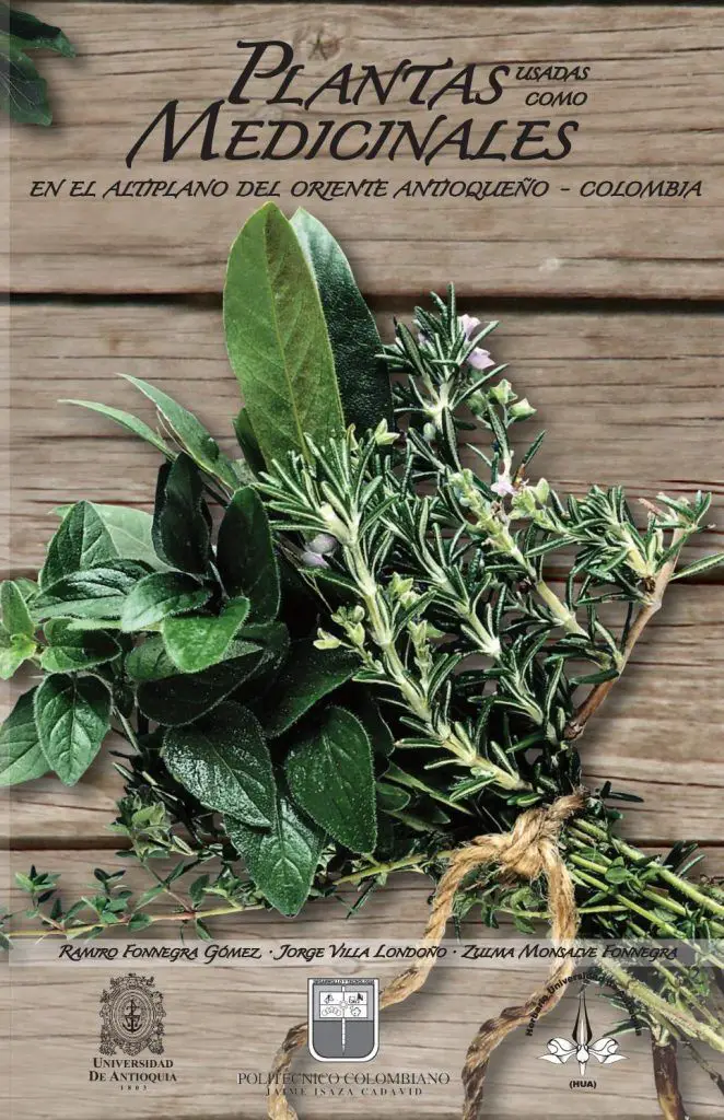 Información de la semilla de manzanilla: Cómo y cuándo plantar las