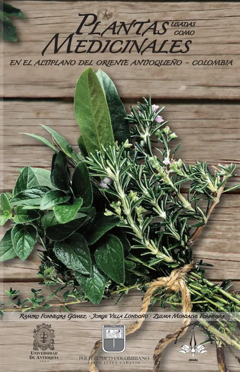 Información sobre el tomillo rastrero: Consejos para el cultivo de