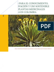 Euphorbia milii / Espina de Cristo, Corona de espinas, Paliure espinoso, Argalon