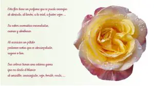 12 Usos de las hojas caídas en su jardín