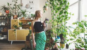 13 ideas sorprendentes para sus plantas de interior