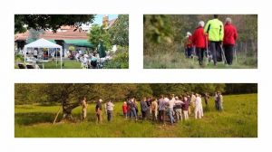 18 actividades de jardinería de otoño para llevar su jardín al siguiente nivel