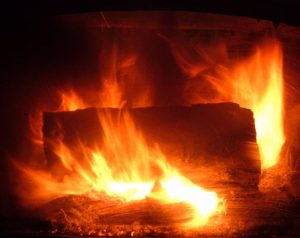 22 de las mejores opciones de leña que puedes quemar este invierno