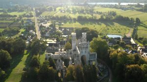 23 plantas difíciles de matar para los jardineros ocupados o nuevos