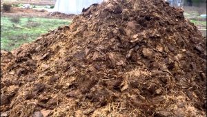 3 técnicas diferentes de elaboración de abono (y las ventajas de cada una de ellas)