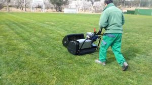 5 mejores kits de prueba de suelo para su jardín o césped - Reseñas y guía de compra