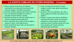5 pasos para controlar las plagas de los jardines en el otoño para que los cultivos sean saludables el próximo año