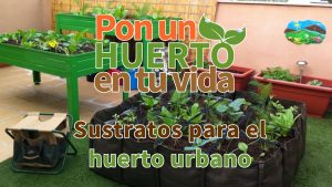 6 cosas esenciales para hacer antes de empezar un huerto