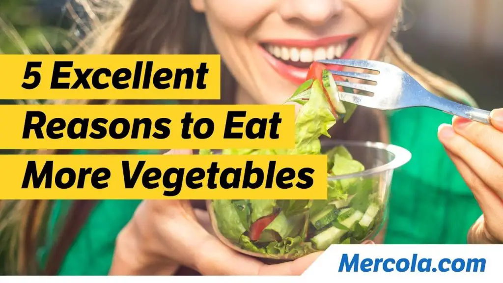 Cultivando Bok Choy: La guía completa para plantar, cuidar y cosechar