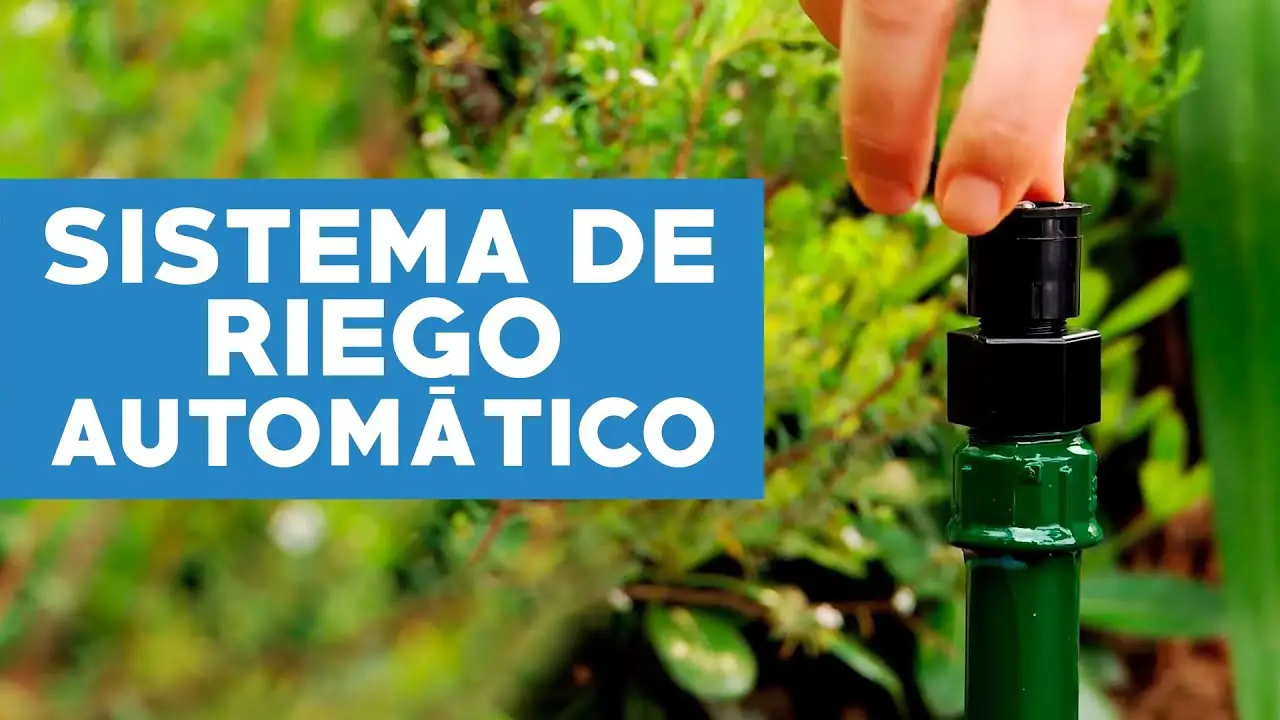 8 mejores rociadores para césped y jardín - Reseñas y guía de compra