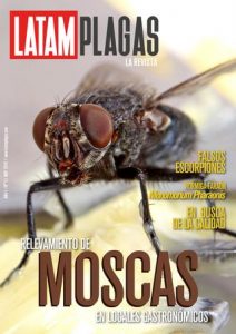 9 Métodos eficaces de control de plagas de la bodega de la raíz para mantener alejados a los bichos