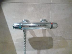 Alcachofas Duchas Gotea