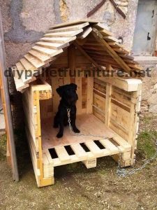 Casas De Perros Con Palets