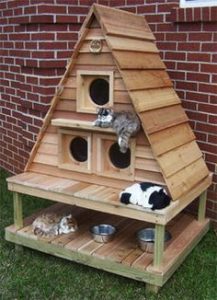 Casas Para Gatos Exterior