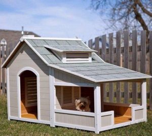 Casas Para Perros