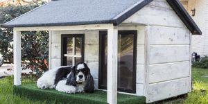 Casas Para Perros Grandes