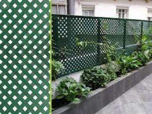 Celosias De Jardin Pvc