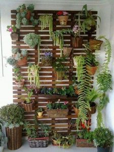 Celosias De Madera Con Plantas