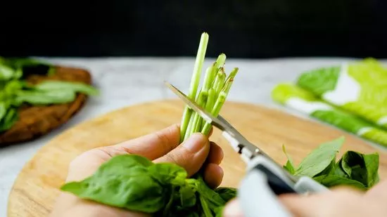 Cómo almacenar la cosecha de su jardín adecuadamente para mantenerla fresca por más tiempo