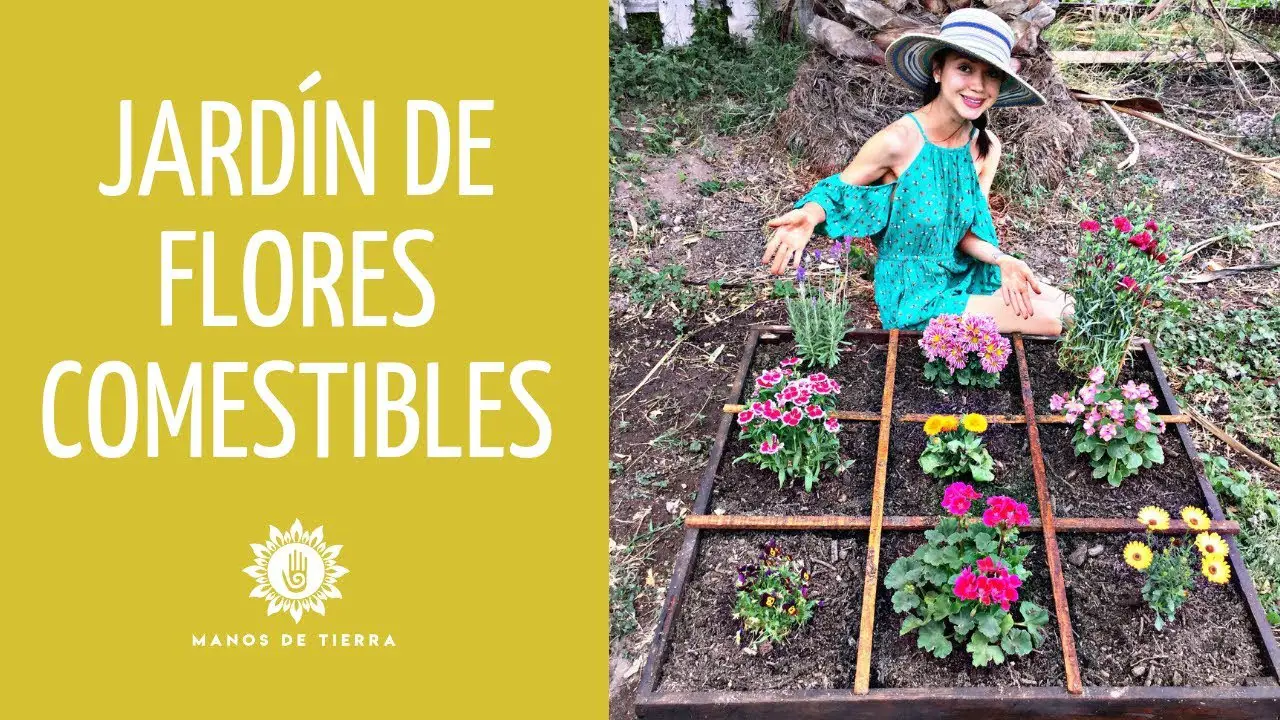 19 Ideas fáciles y creativas para hacer dinero en su casa urbana