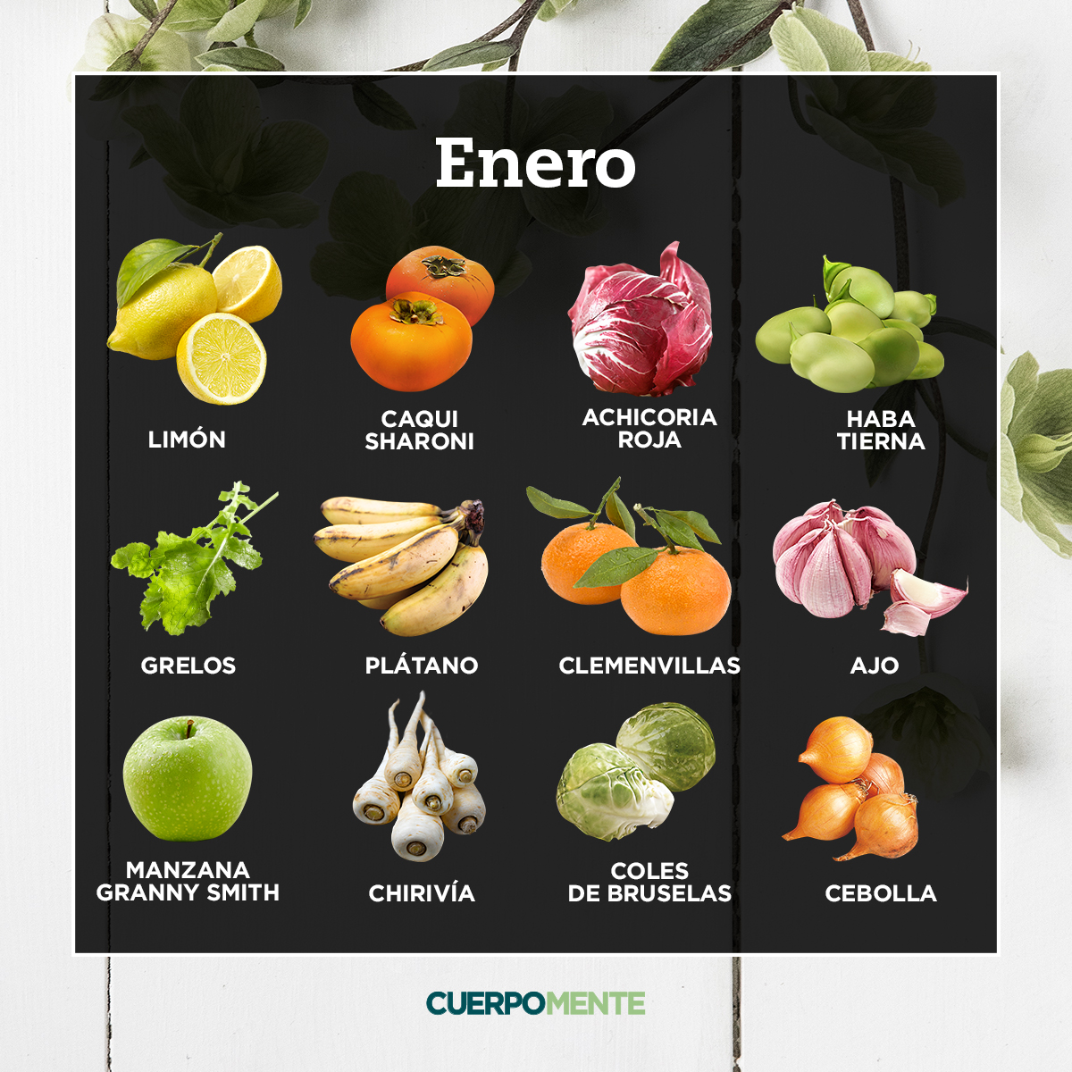Cómo empezar a crecer sus propias frutas y verduras Consejos para mi Cómo empezar a crecer sus propias frutas y verduras Consejos para mi