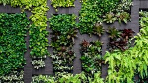 Cómo empezar un jardín interior de la manera correcta