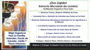 Cómo mejorar la fertilidad del suelo del jardín a bajo costo