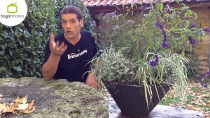 Cómo mejorar su suelo arcilloso de la manera más fácil