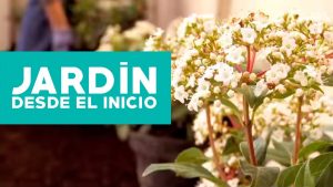 Cómo planear el jardín perfecto este año en 10 pasos fáciles