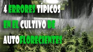 Cómo tener éxito en la germinación de semillas y 7 errores comunes a evitar