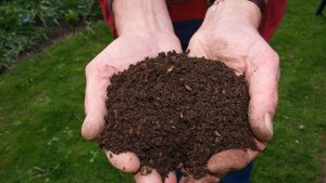 Cómo usar correctamente el abono en su jardín