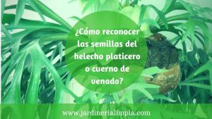 Cómo usar el método de jardinería del núcleo para crecer con un mínimo de agua