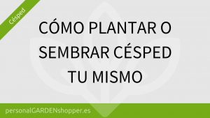 Consejos de jardinería de julio y lista de tareas por zonas y regiones de plantación