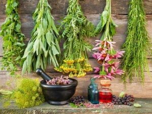 Cultivando un jardín de hierbas medicinales: Todo lo que necesitas para empezar