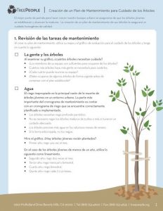 El mantenimiento de un árbol recién plantado