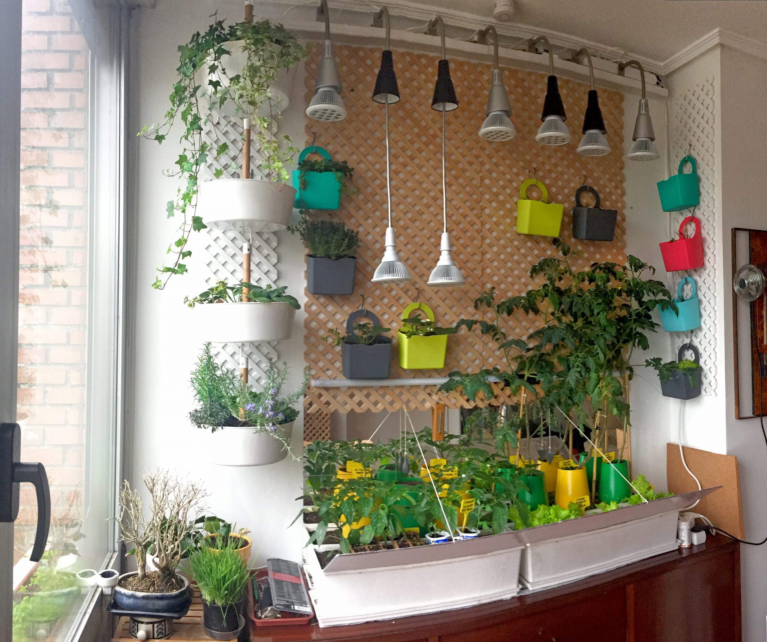 Descubre las 【OFERTAS en Huertos De Interior】 ¿A qué estás esperando?