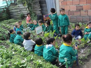 Lasten puutarhat