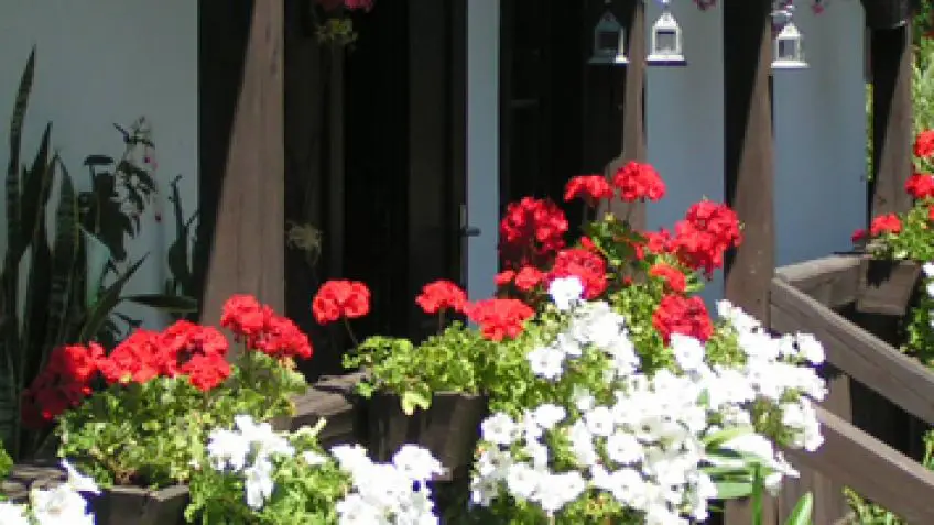 Fotos de jardín para casas y apartamentos - Consejos para mi huerto